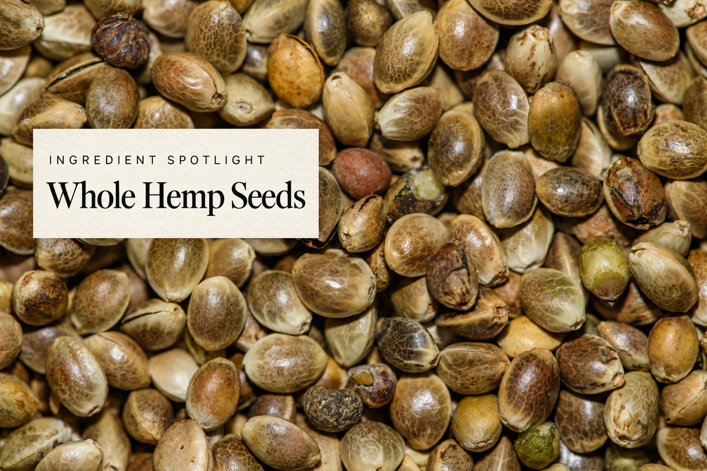 Real photograph of whole hemp seeds with a Ingredient Spotlight label.