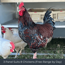 Mobile Chicken Coop / Chicken Tractor