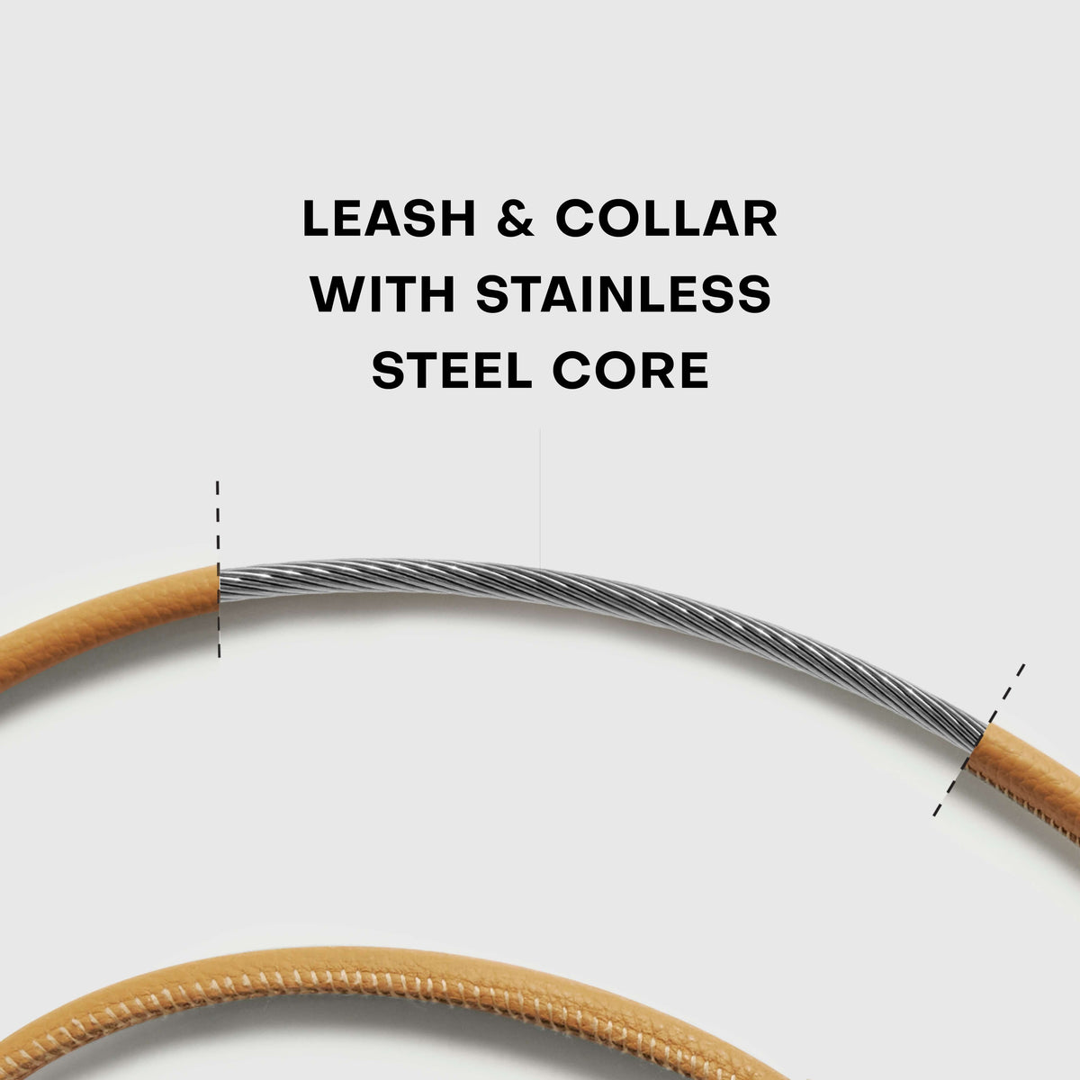 DOGLOC Lockable Dog Lead & Collar Set — product image 9