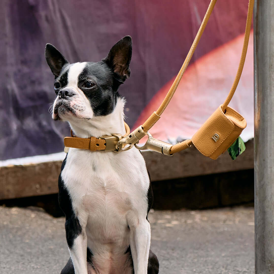DOGLOC Poop Bag Holder — product image 8
