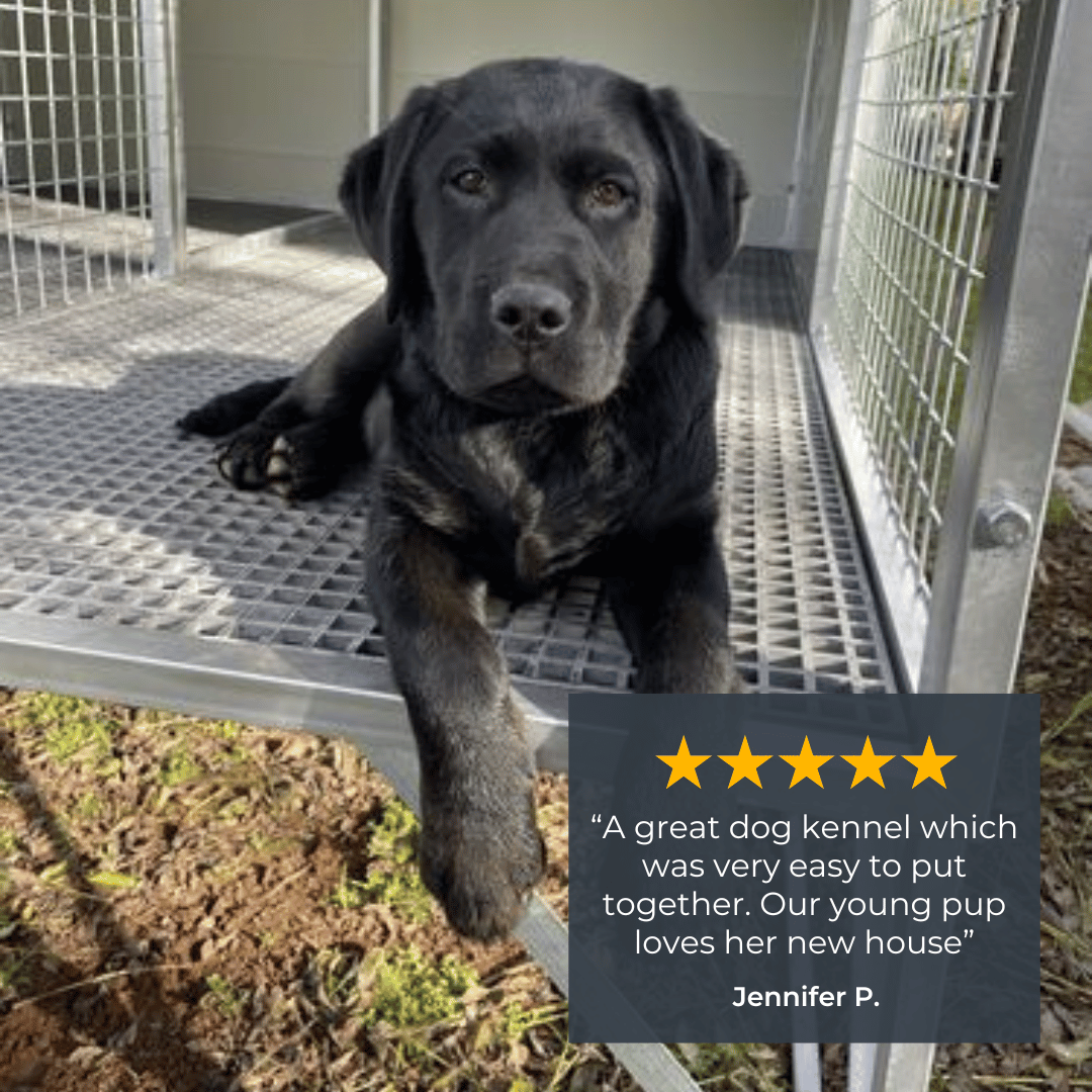 "Aussie Dog Kennels" Raised Dog Kennel