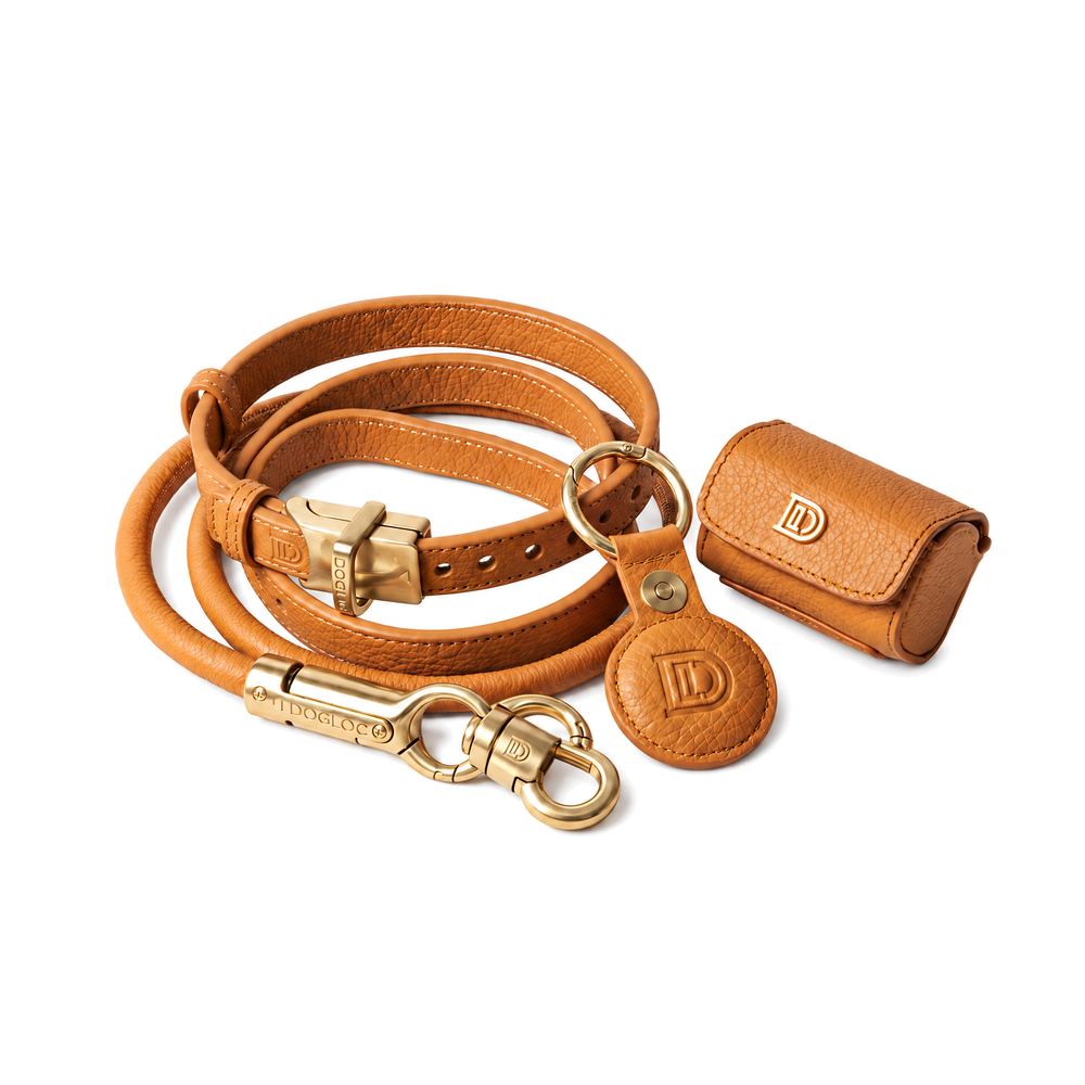 DOGLOC Complete Walk Bundle with its included lockable walking accessories on a clean white background.