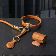 DOGLOC Complete Walk Bundle with its included products in an alternate arrangement on the original premium studio background.