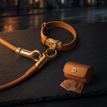 DOGLOC Everyday Walk Bundle with its included products in an alternate arrangement on the original premium studio background.