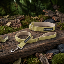 Hemp & Cotton Everyday Walk Bundle — Grass Green with its included products in an alternate arrangement on the original premium studio background.