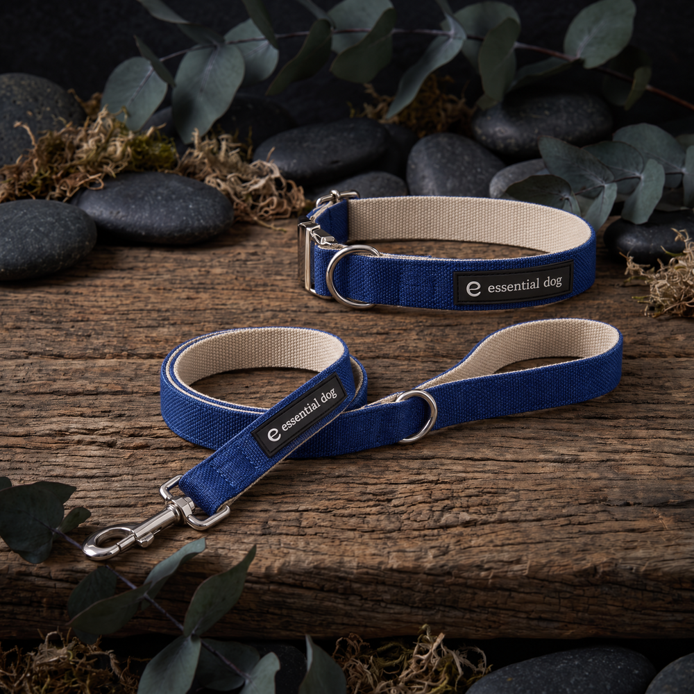 Hemp & Cotton Everyday Walk Bundle — Ink Blue with its included products in an alternate arrangement on the original premium studio background.