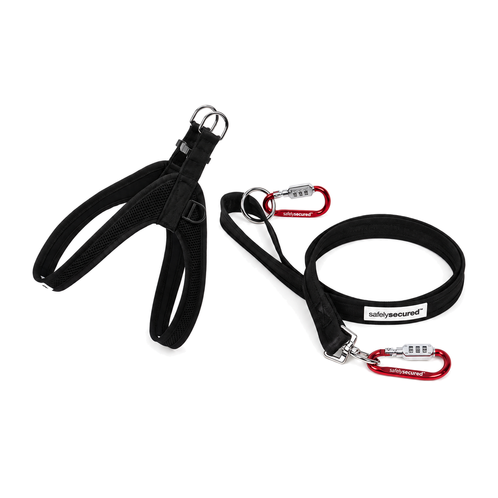 Safely Secured Everyday Security Bundle with its included security accessories on a clean white background.