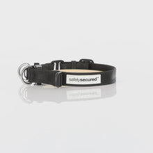 Essential Dog imported SafelySecured lockable collar buckle demonstration