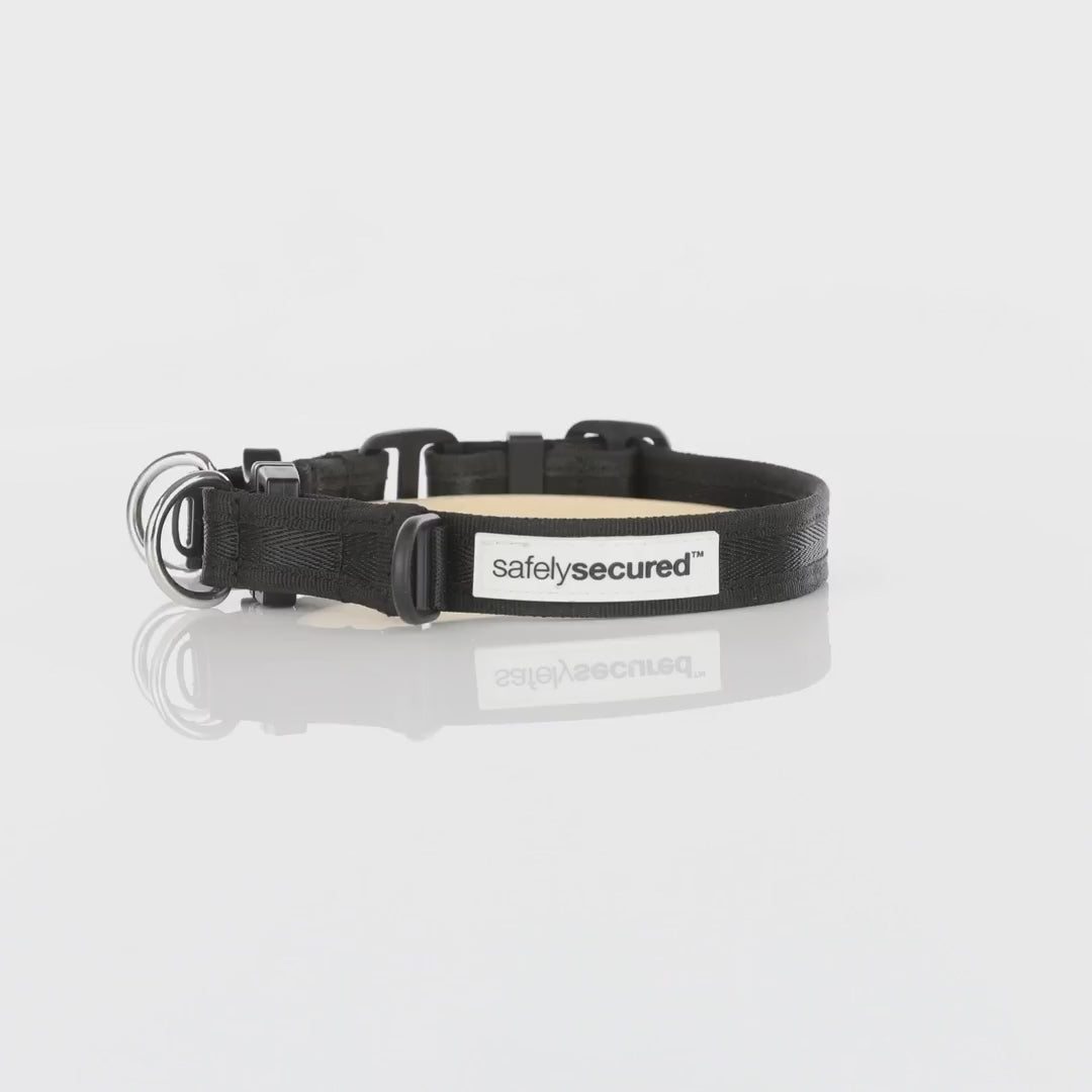 Essential Dog imported SafelySecured lockable collar buckle demonstration