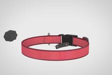 Essential Dog imported Elevation Lab TagVault Pet Thru-Collar Design animation