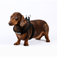 Anti-Theft Lockable Dog Harness