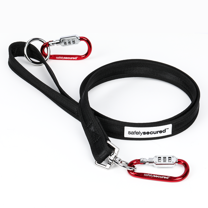Safely Secured Anti-Theft Lockable Dog Leash