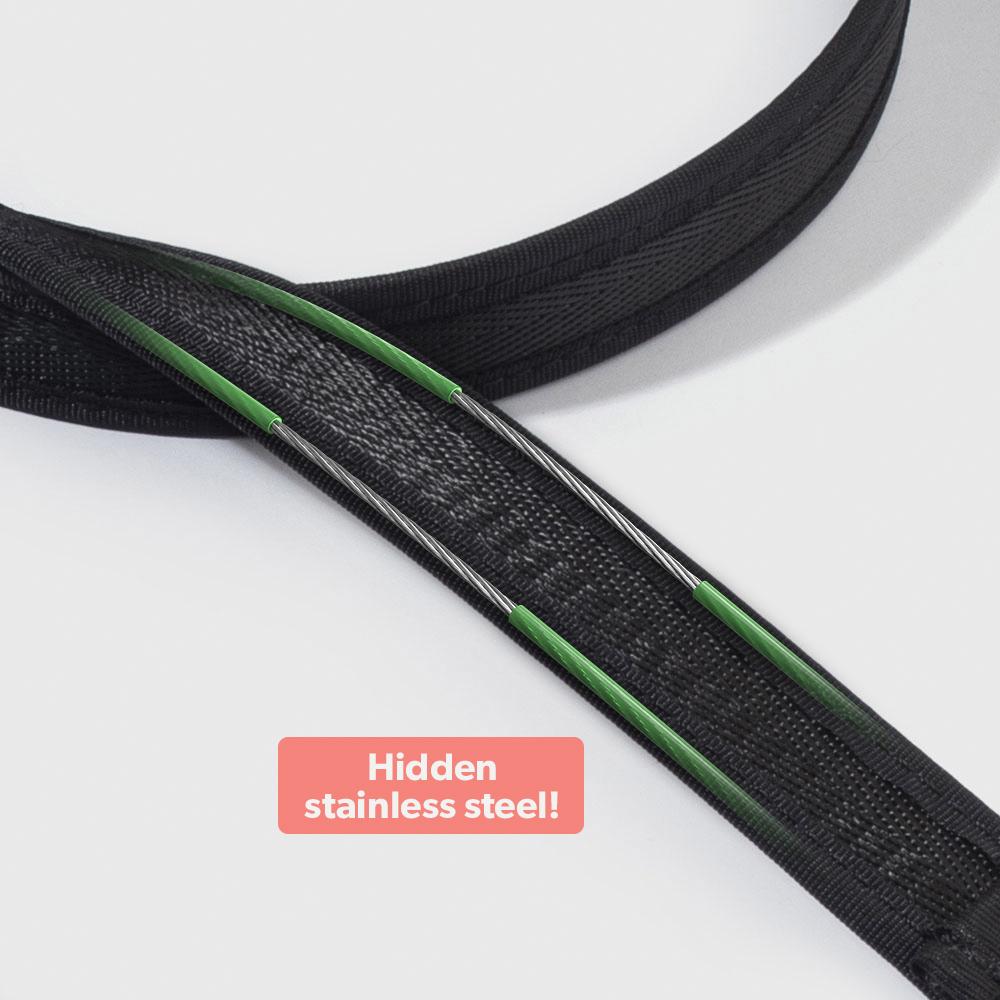 Safely Secured Anti-Theft Lockable Dog Leash